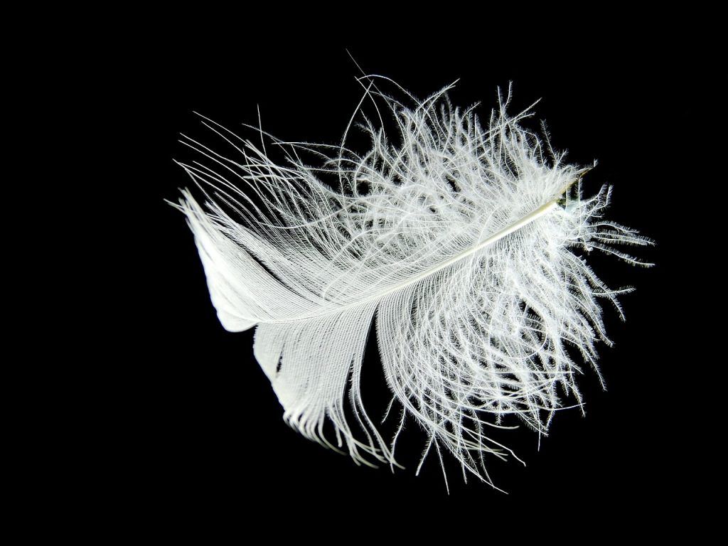 Feather, Husbands Lacking Gentleness? Learn How to Energize Your Bond with 5 Amazing Tips
