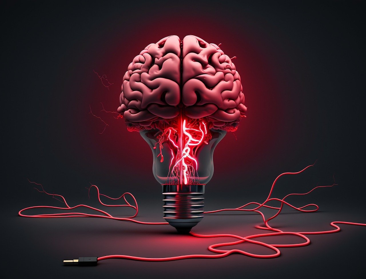brain, wish knew